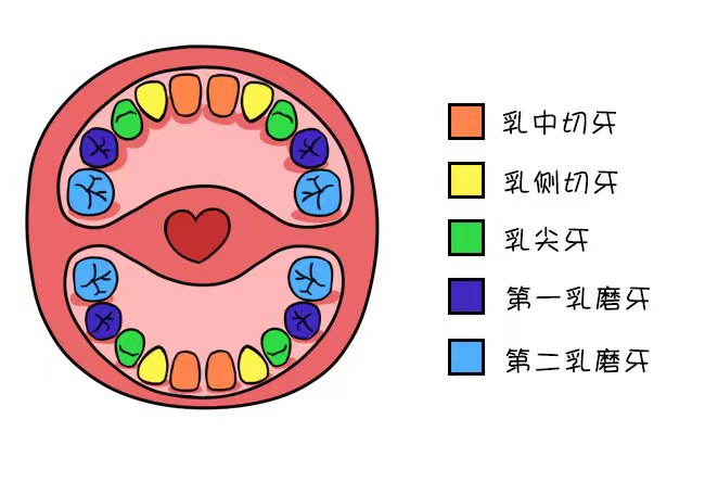 寶寶對(duì)你(nǐ)的(de)依戀有(yǒu)4種類型，看(kàn)看(kàn)他(tā)屬于哪一(yī)種？