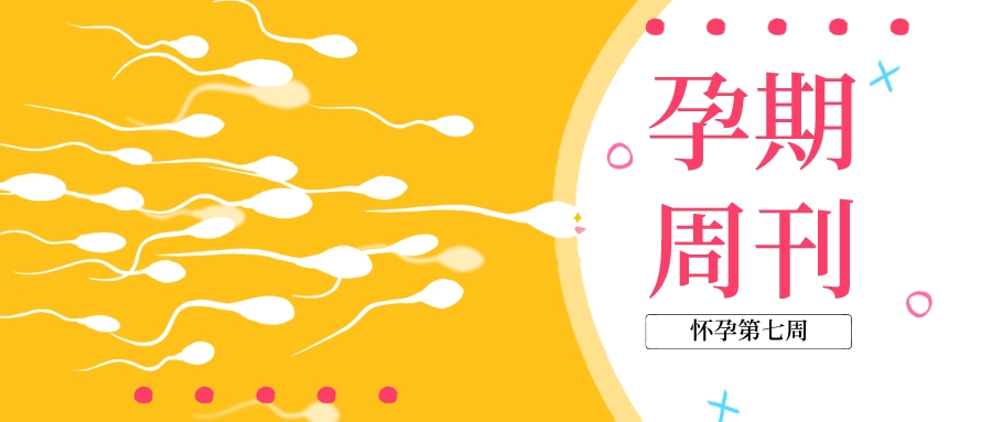 孕期周刊 ▎懷孕“第七周”注意事(shì)項