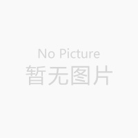 陳文(wén)枝